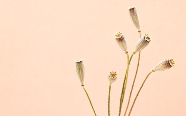 三维动画短片画面，极简几何体在纯色背景中缓慢旋转，光影层次分明具有实验感